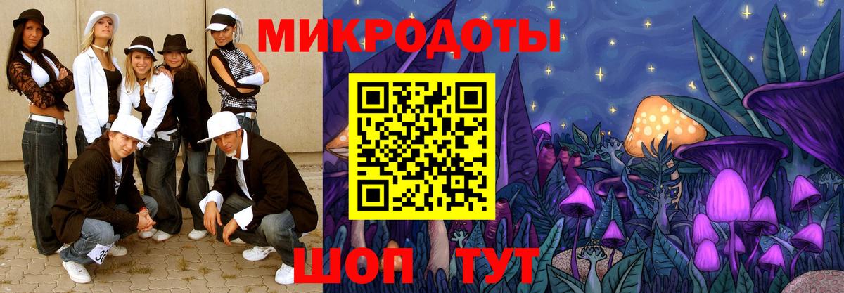 Псилоцибиновые грибы Cubensis Ахтубинск